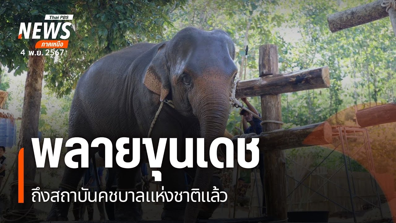ช้างพลายขุนเดช เดินทางถึงสถาบันคชบาลแห่งชาติแล้ว