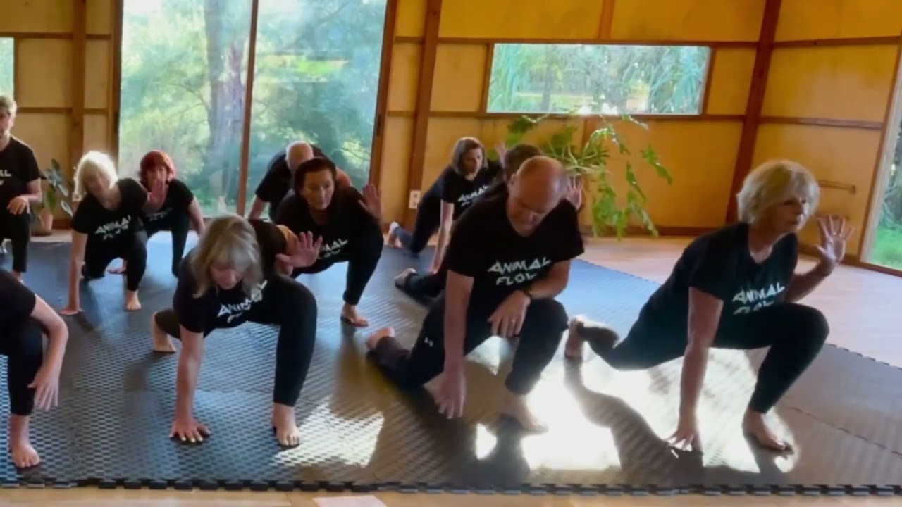Animal Flow for Older Adults – Beginner Flow 1 | Empowered Ageing Portugal (Horizontal video)