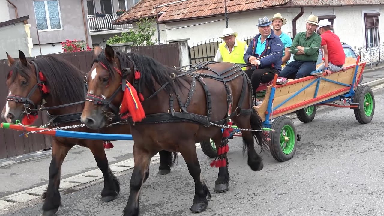 Parada cailor Gilau, Cluj 10 Iunie 2022 Nou!!!