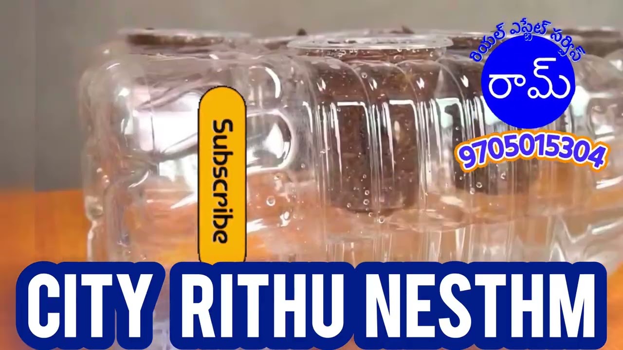 City Rithu Nestham