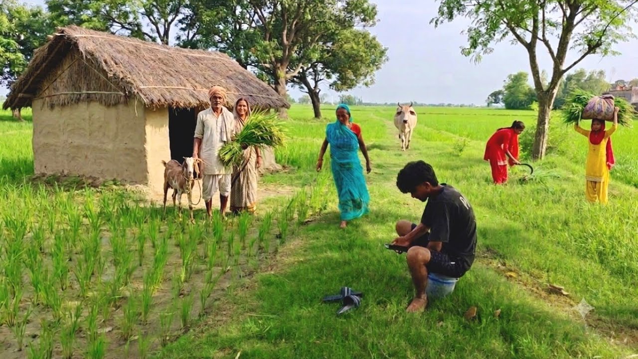 Pure Village Happiness In India | Is Village Life Really This Peaceful? One Day in Rural India