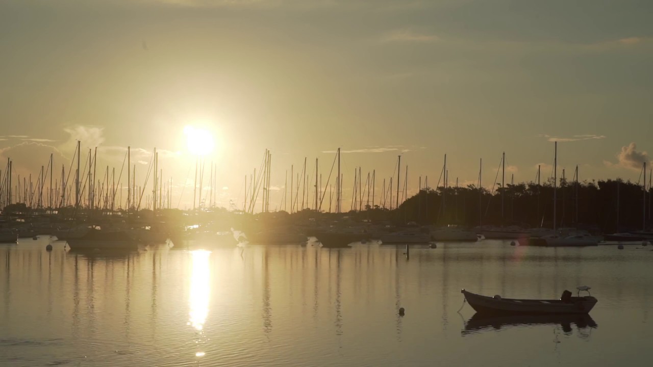 Arbor | Coconut Grove Real Estate