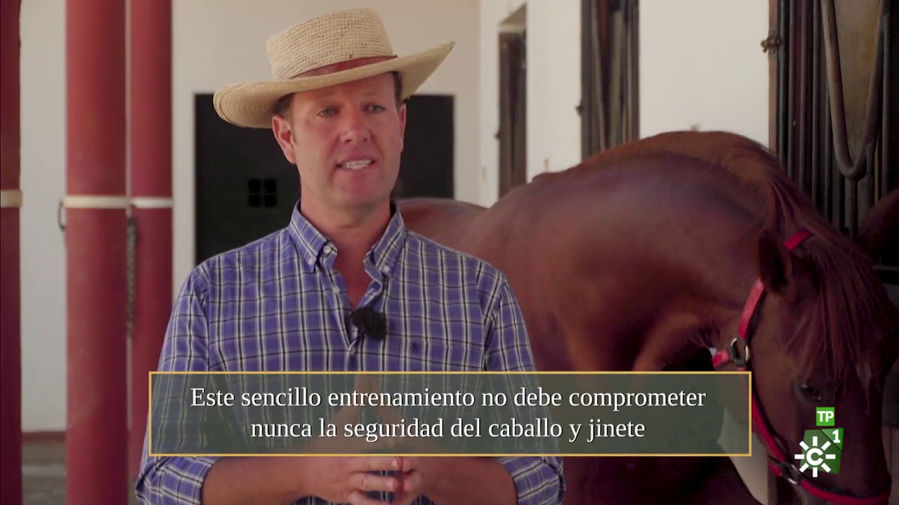 TodoCaballo | De Pruna a Ronda a caballo