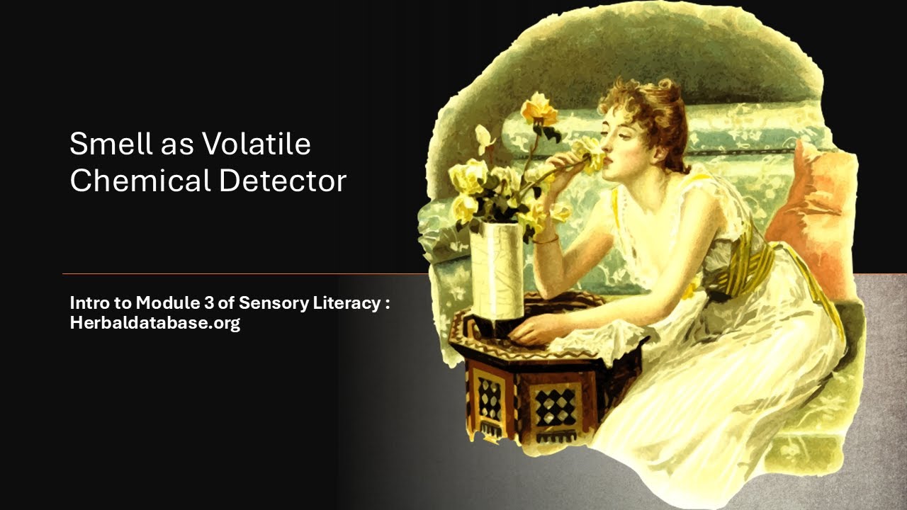 Smell as Volatile Chemical Detector