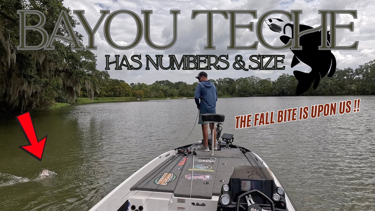 BAYOU TECHE - HAS NUMBERS & SIZE !!