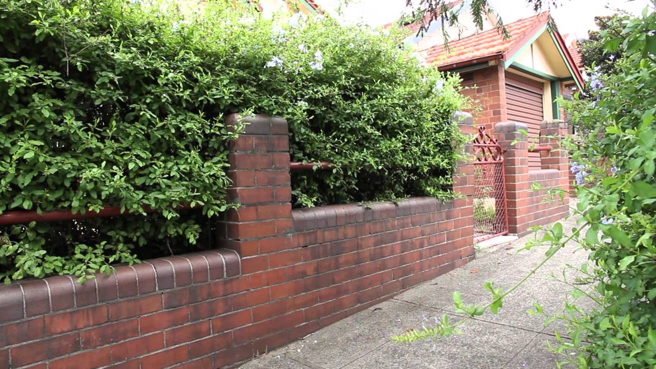 Hedging by Sean Kerr