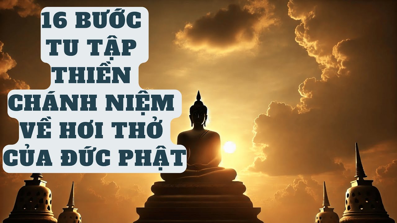 16 Bước Tu Tập Thiền Chánh Niệm Về Hơi Thở Của Đức Phật | Sách Tri Thức