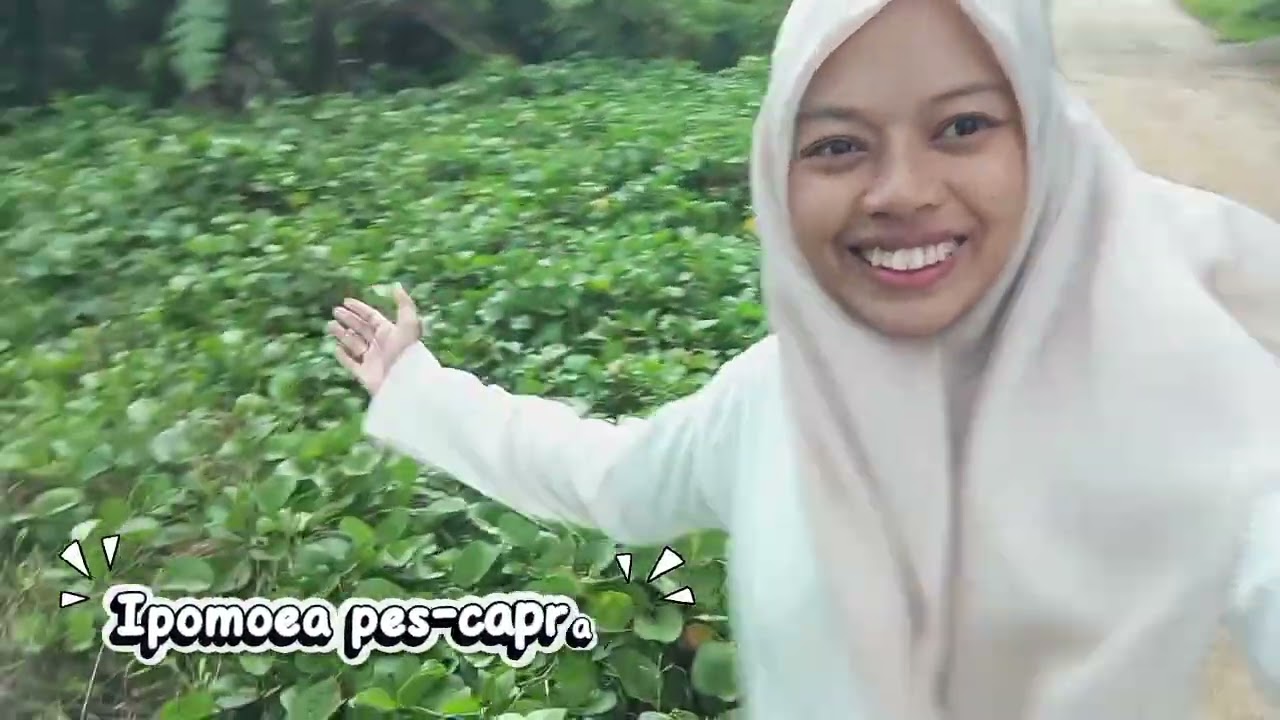 Sofia Romadani (241410732) Botani Tumbuhan Tinggi 