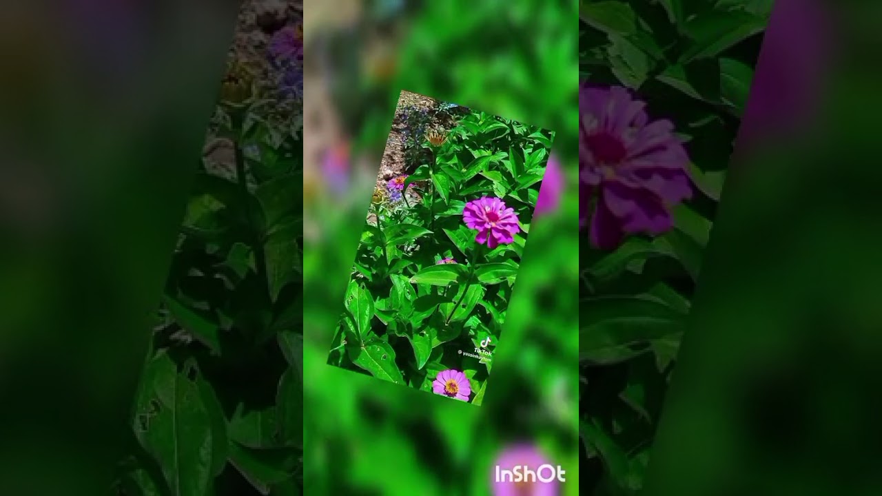 فضل الدعاء