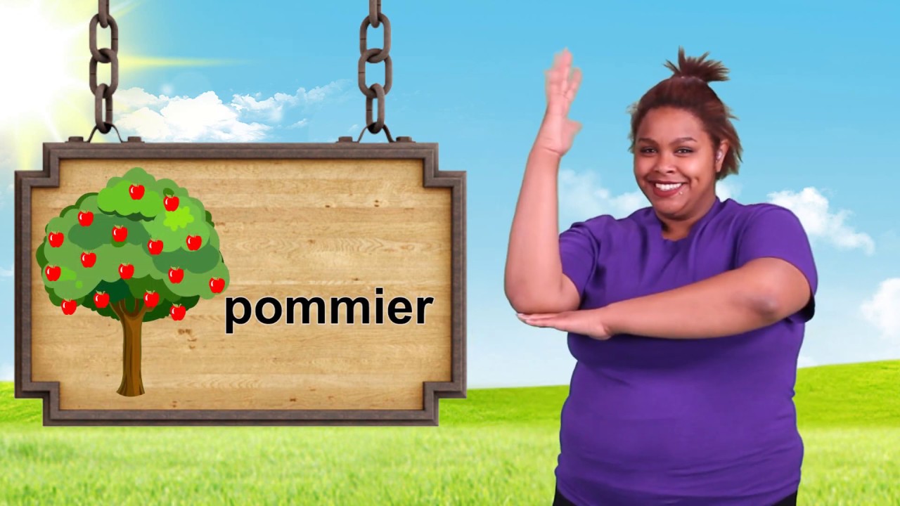 Mes comptines en LSQ avec RESO : 5 pommes dans mon panier