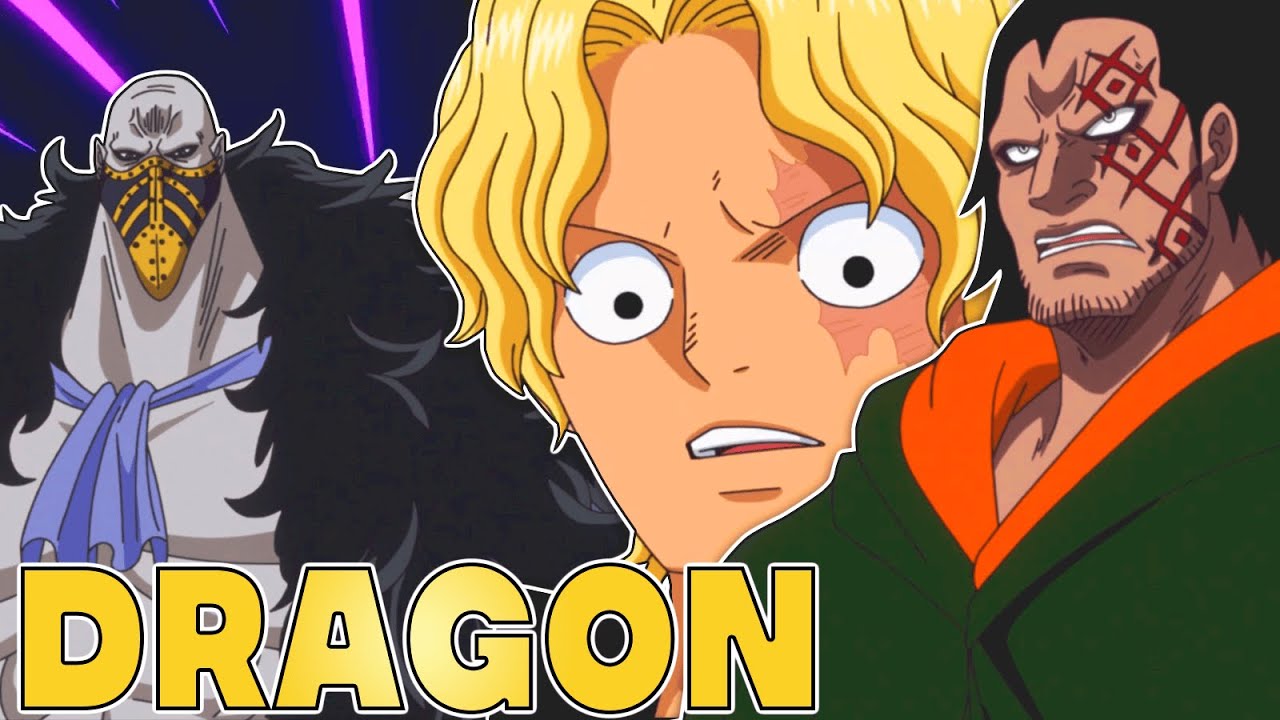 ALLE 14 REVOLUTIONÄRE IN ONE PIECE ERKLÄRT!!! 🔥🔥🔥