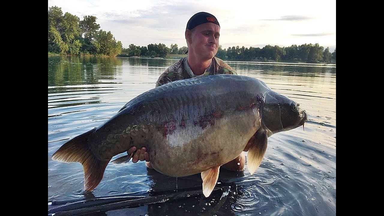 Karpiowanie z Total Carp Baits - Croatia Zapresic Lake 2018