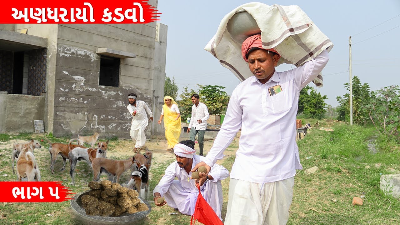 ઉત્તરાયણમાં અણધરાયા કડવાએ ખાધા કુતરાના લાડવા | UTTARAYAN MA ANDHARAYA KADVA AE KHADA KUTARANA LADAVA