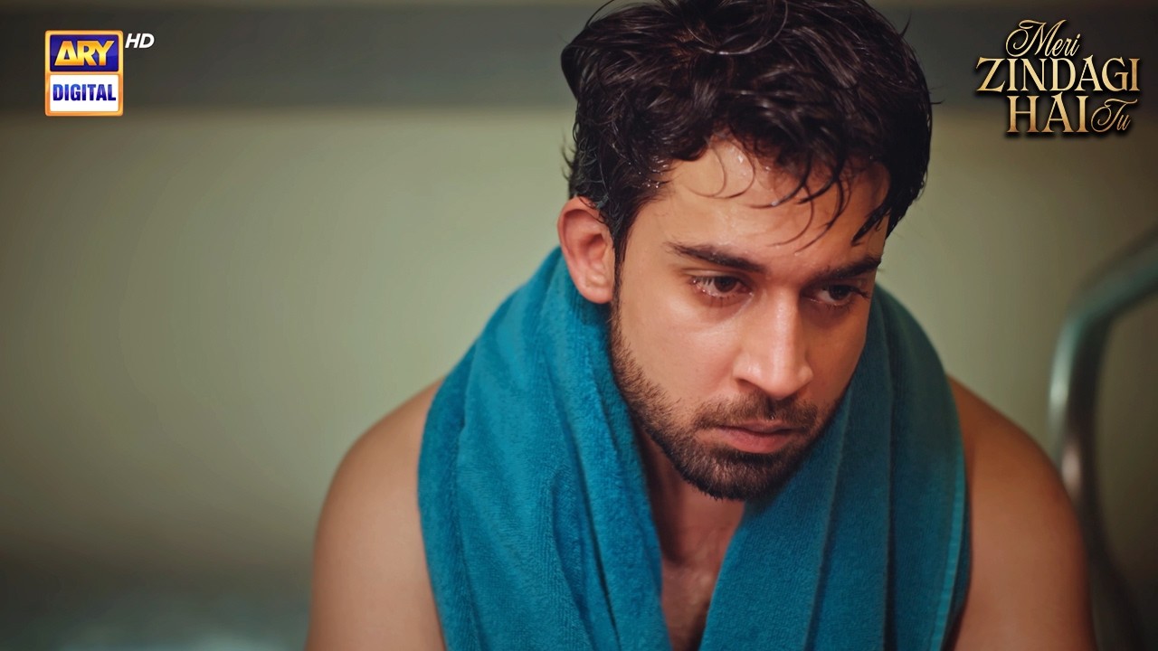 What did you think of the last episode of Meri Zindagi Hai Tu?