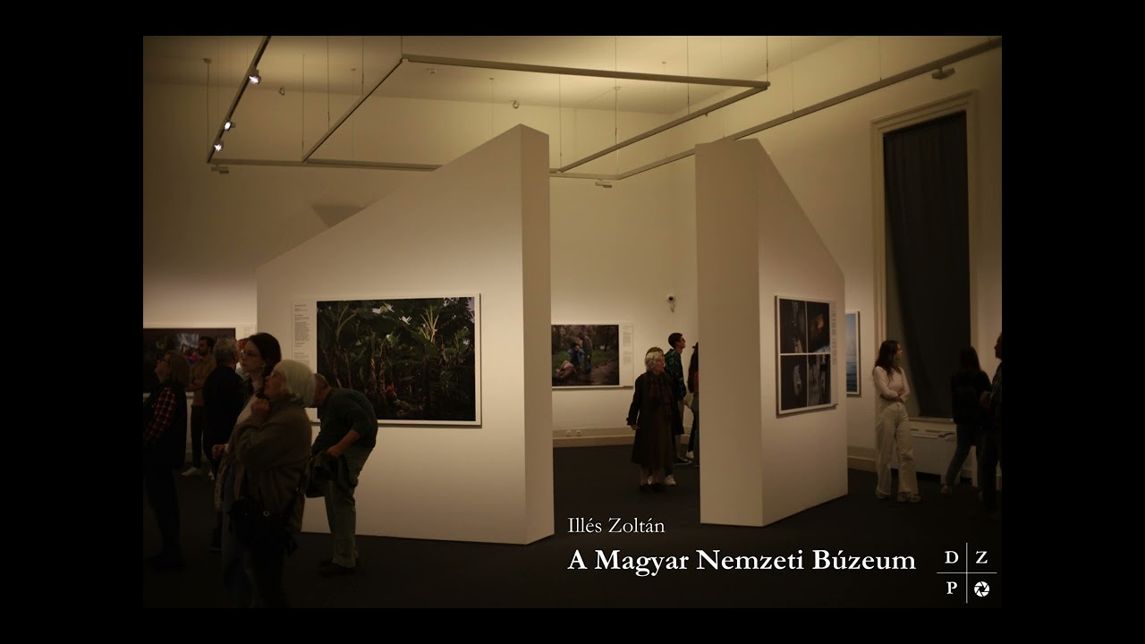 Ill&eacute;s Zolt&aacute;n - A Magyar Nemzeti B&uacute;zeum