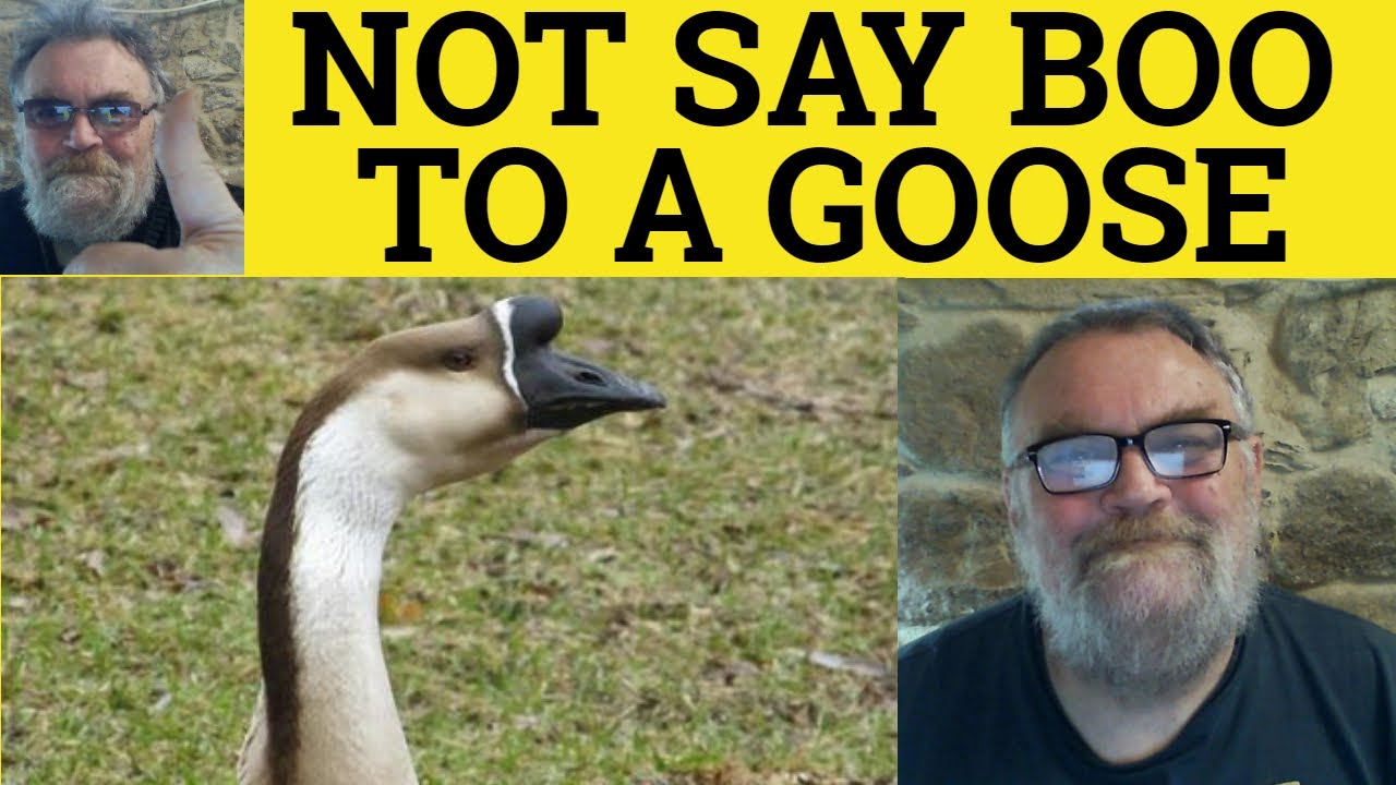 🔵 Not Say Boo to a Goose Meaning - Wouldn't Say Boo to a Goose Examples - Not Say Boo to a Goose