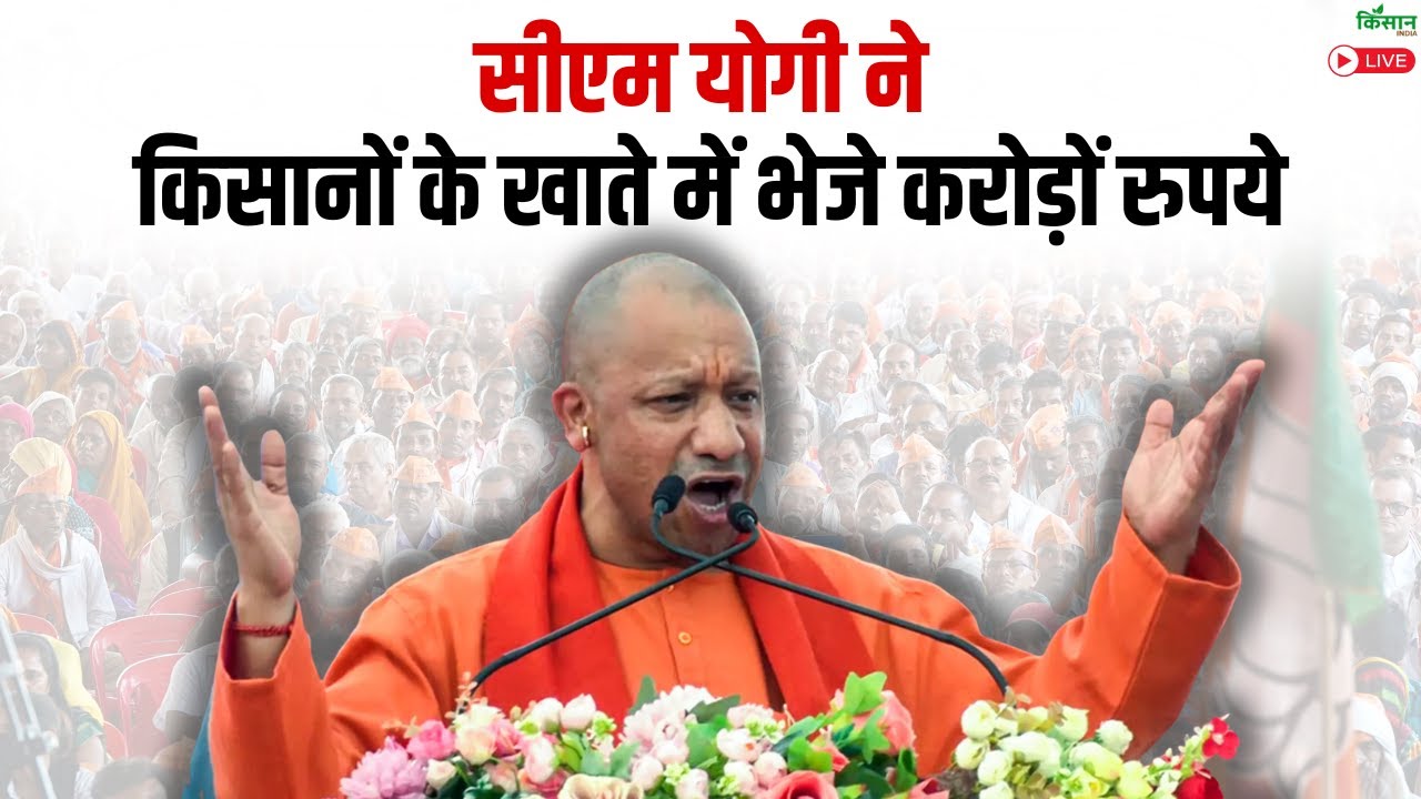CM Yogi Live: किसानों के खाते में सीएम योगी ने भेजे करोड़ों रुपये