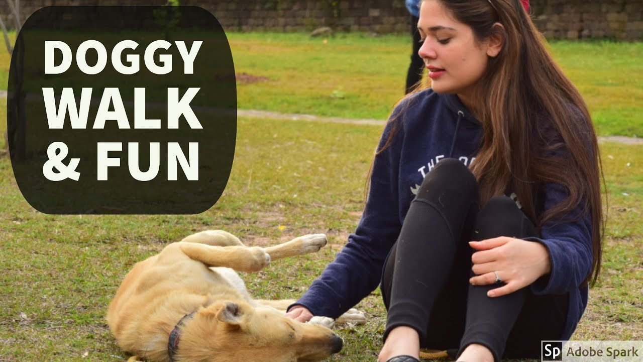 Animal Rescue Islamabad Meetup