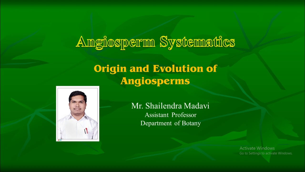 Origin and Evolution of Angiosperms | Unit-I | B.Sc. II (Sem-III) Botany