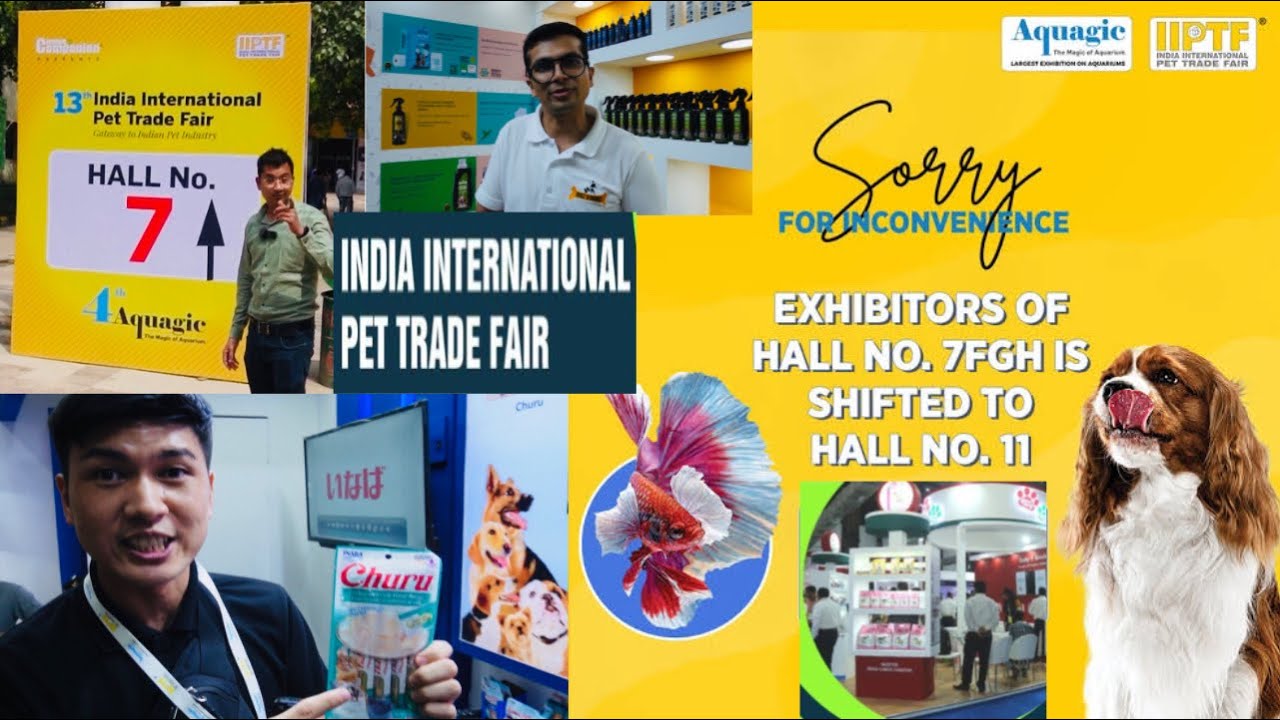 International Pet Trade Fair - 13th india दिल्ली में शुरू ट्रेड फेयर 🐕 2023 BholaShola