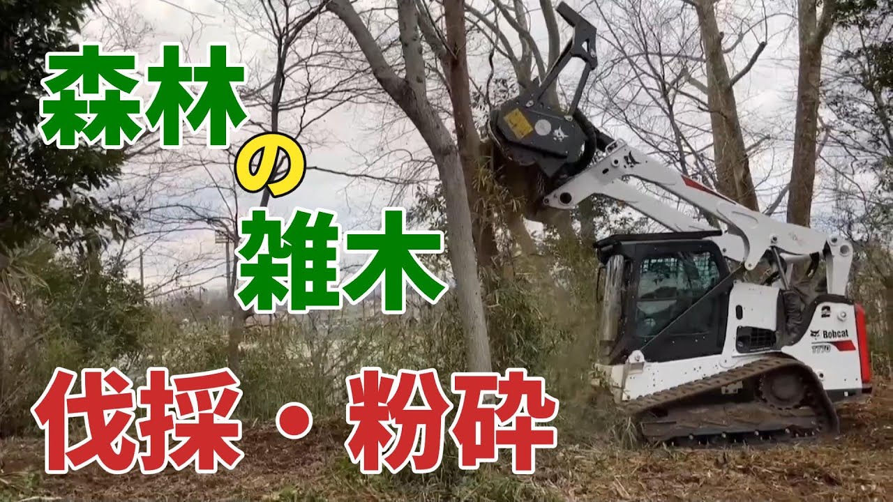 【森林雑木伐採粉砕】森林の雑木を伐採粉砕しました！Bobcat＆ﾌｫﾚｽﾄﾘｰｶｯﾀｰ、PC45＆ﾊｲﾊﾟﾜｰｸﾞﾗｽﾁｮｯﾊﾟｰ！