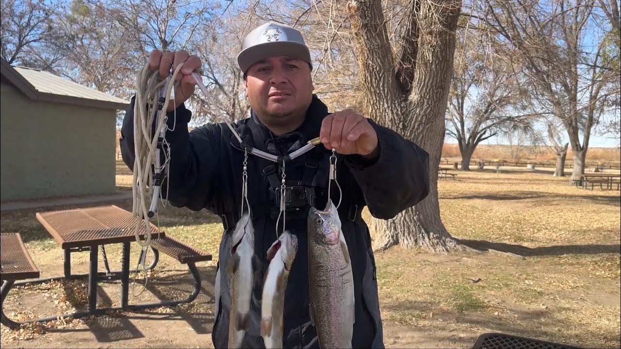 Trout Action at Mojave Narrows #fishing #trout #truchas