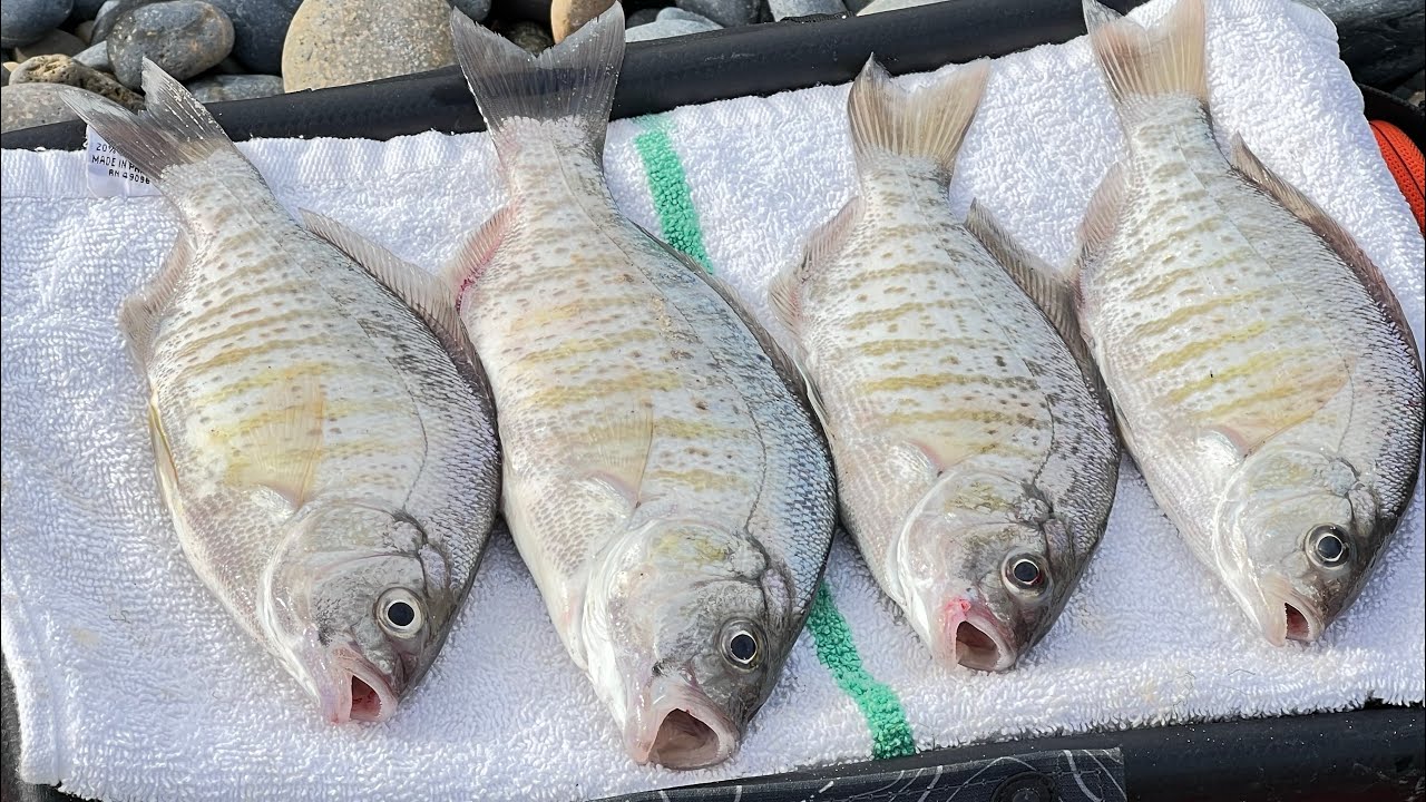 Oceanside fishing. 