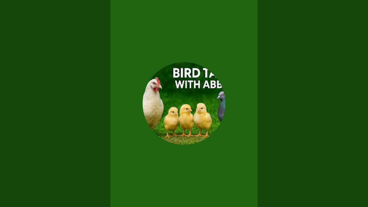 Bird Tales With Abbas is live!