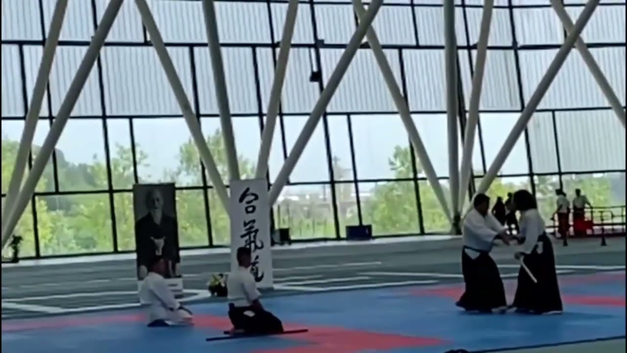 All Spain Aikido Enbutaikai (maestro Roberto Garc&iacute;a Albares 5 DAN)
