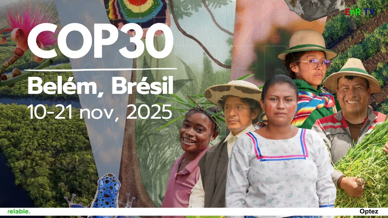 CONDENSE DE L'ACTUALITE DU 14 NOVEMBRE 2025