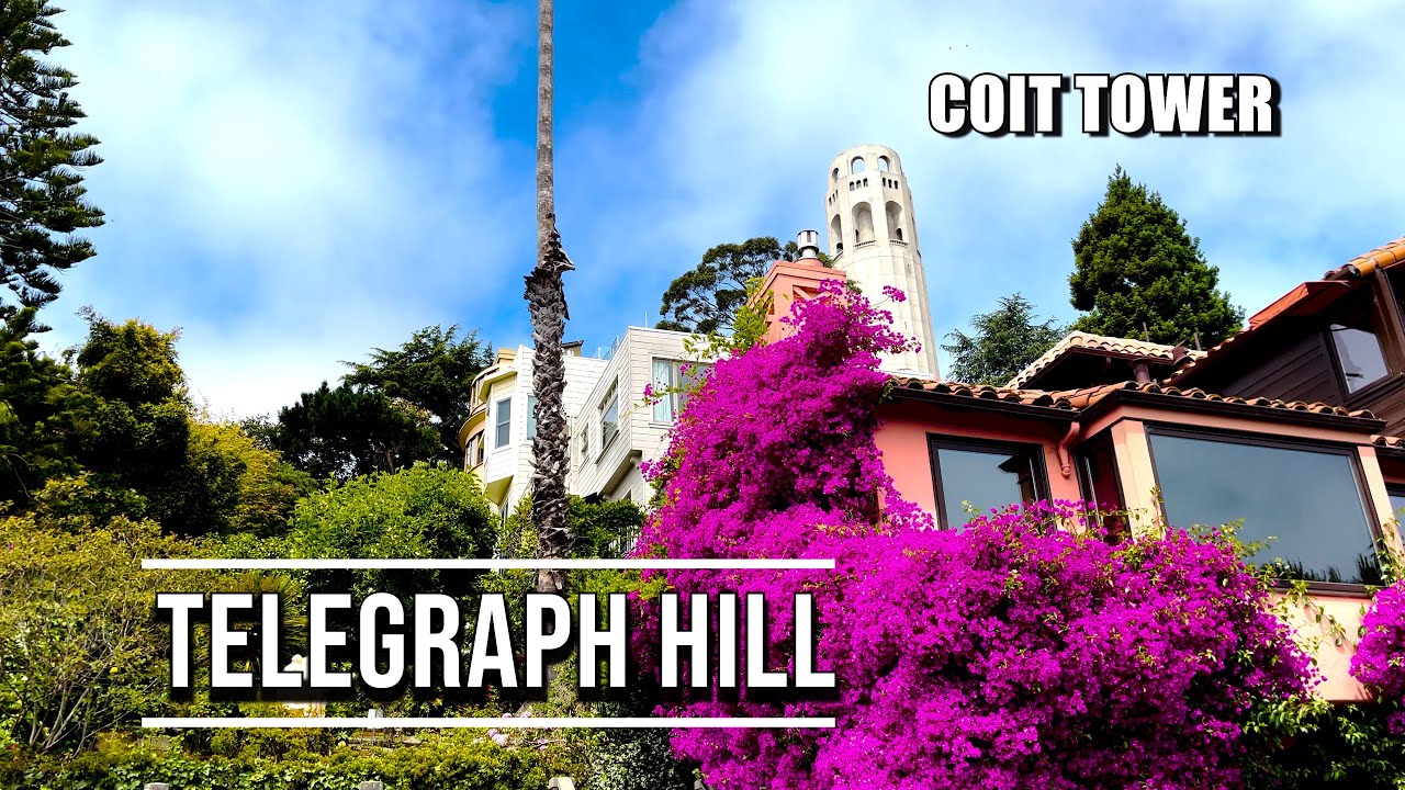 [Walk] Telegraph Hill(Coit Tower), San Francisco. 4K60fps.