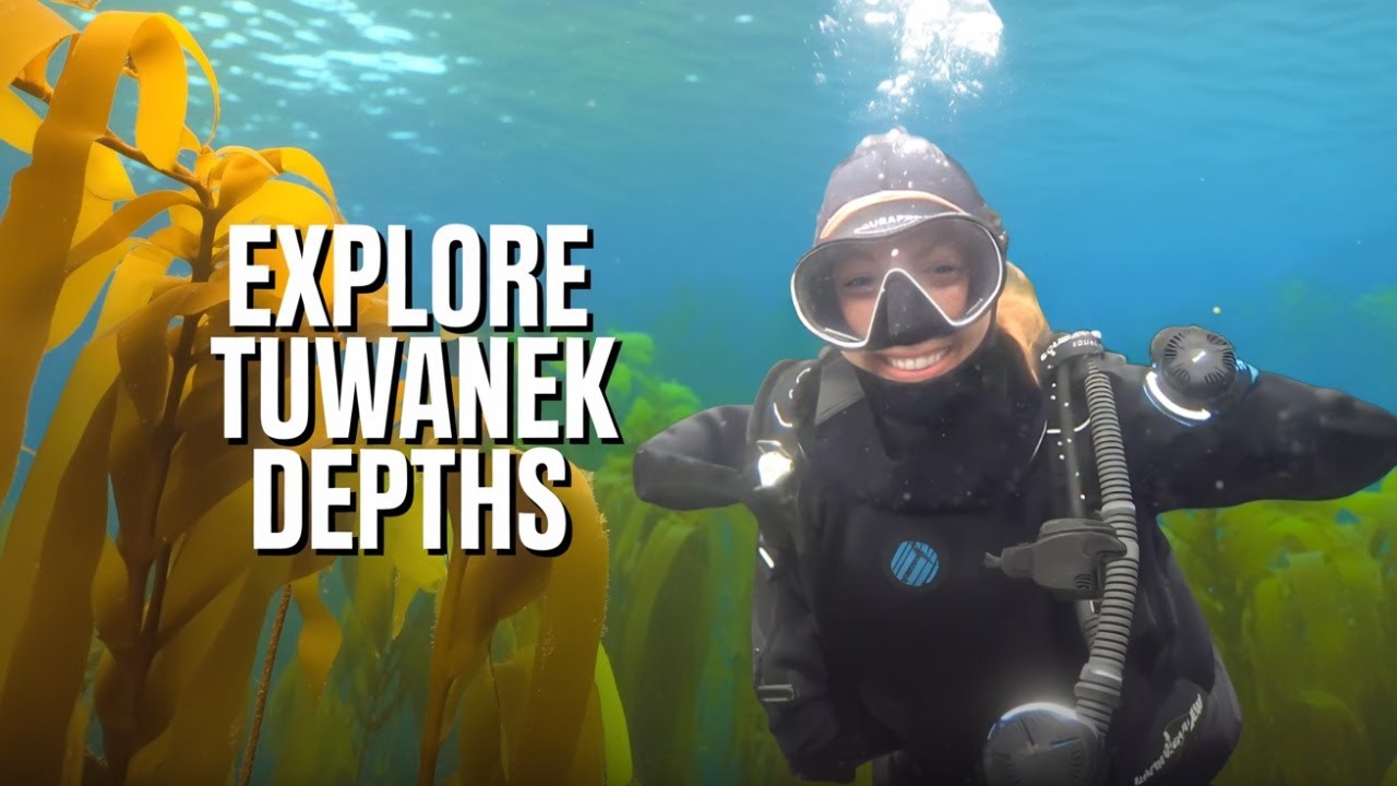 Diving Tuwanek: A Hidden Gem of the BC Coast