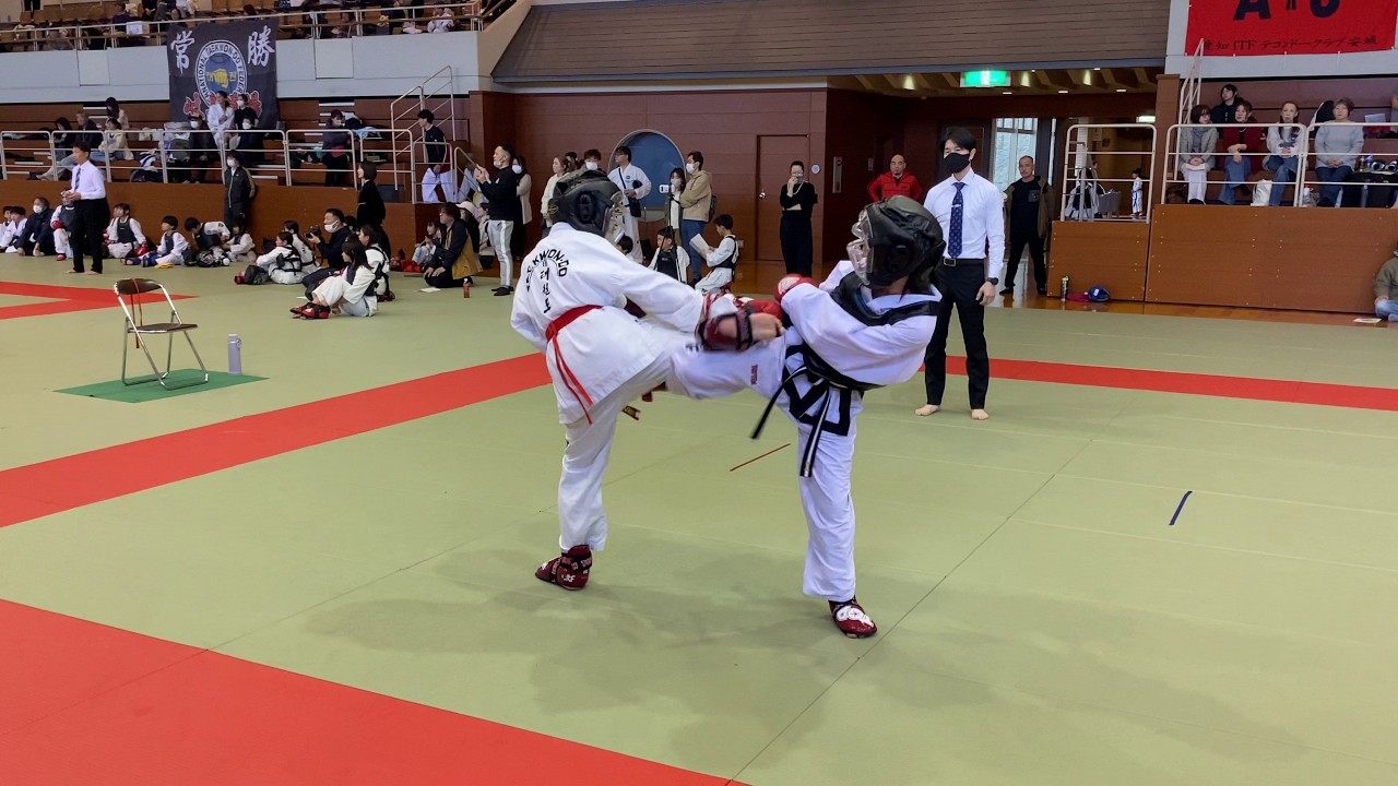 第33回岐阜県大会《組手》中学生 女子 -48kg級（決勝）33rd Gifu Championship Sparring 13-15 years Female -48kg FINAL