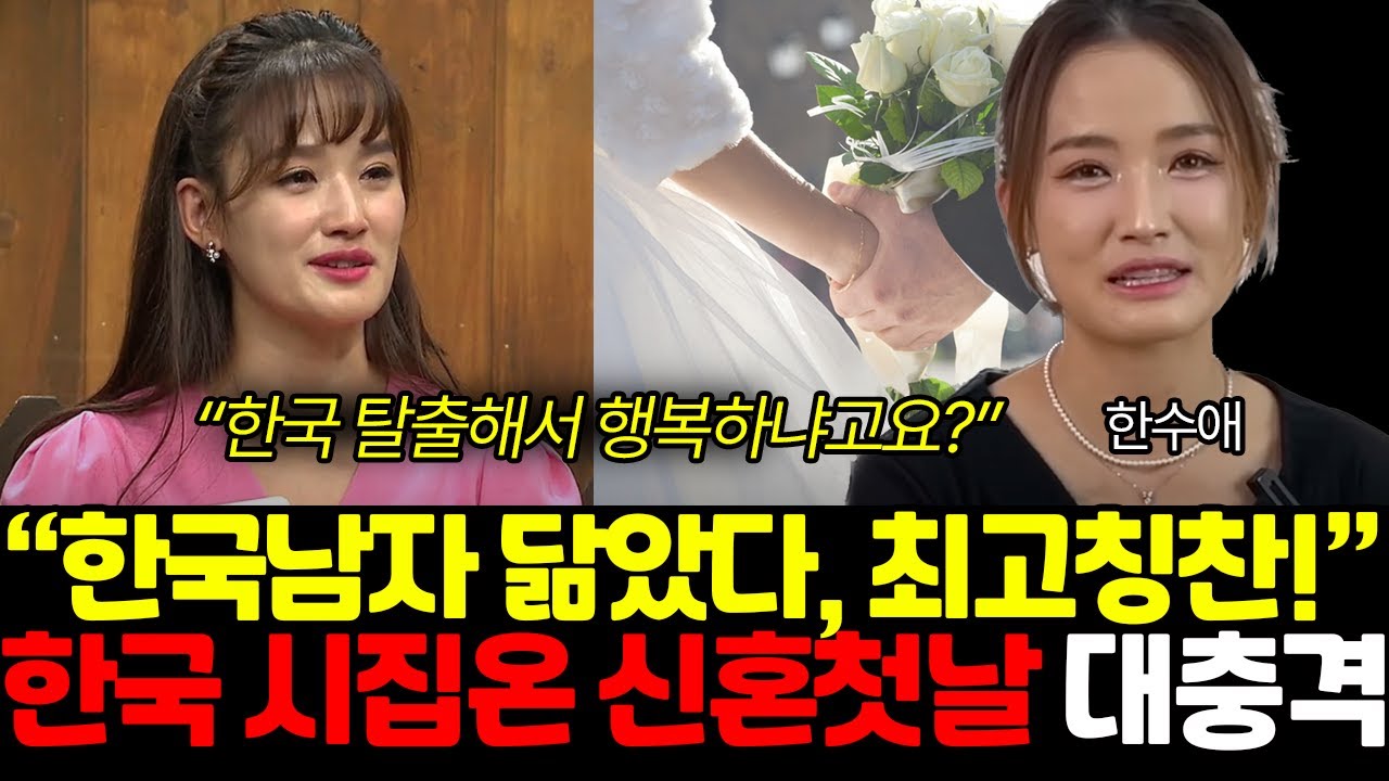 한국남자 닮았다가 북한 최고 칭찬! 한국 시집 어떻게 하게 된거냐면 (한수애 작가 / 두번째 1부)
