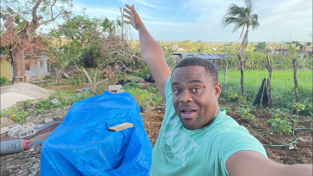Backyard Framing after hurricane Melissa hit St.Elizabeth Jamaica.🇯🇲 