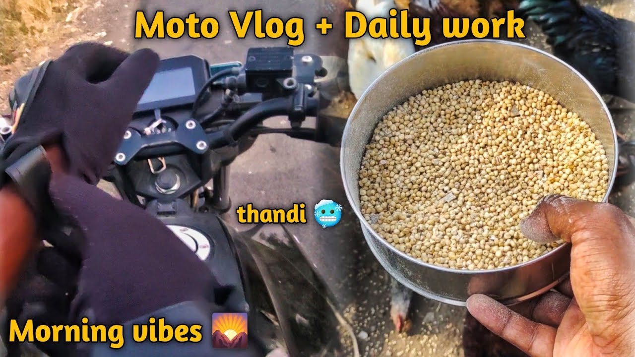 Subah Ka Moto Vlog 🏍️ | 8 KM Door Khet Ka Kaam | Poultry Farm Routine | Aaj 4 Ande Mile 🥚