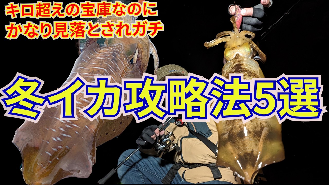 冬イカはこう狙え！プロが教える有料級冬エギング攻略5ヶ条！【上級者ですらわからずに見落としてます】