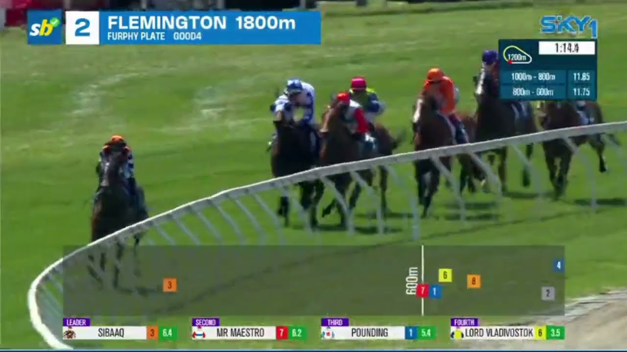 FORGOT YOU - Furphy Plate 2023(LR) Listed Flemington 07 November