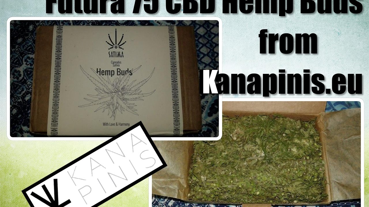 Futura 75 Legal CBD Hemp Buds