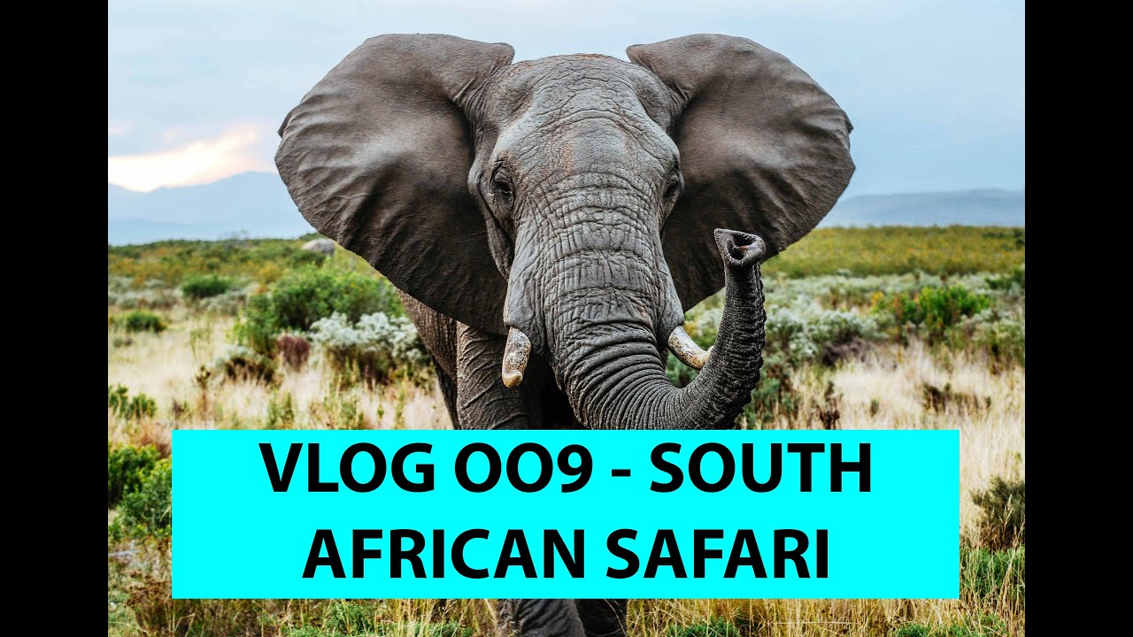 VLOG 009 - AFRICAN SAFARI