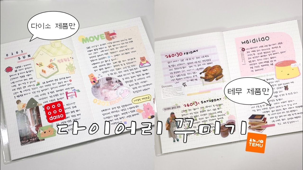 다이소 제품과 테무 제품만으로 다꾸가 가능할까?🙂‍↕️