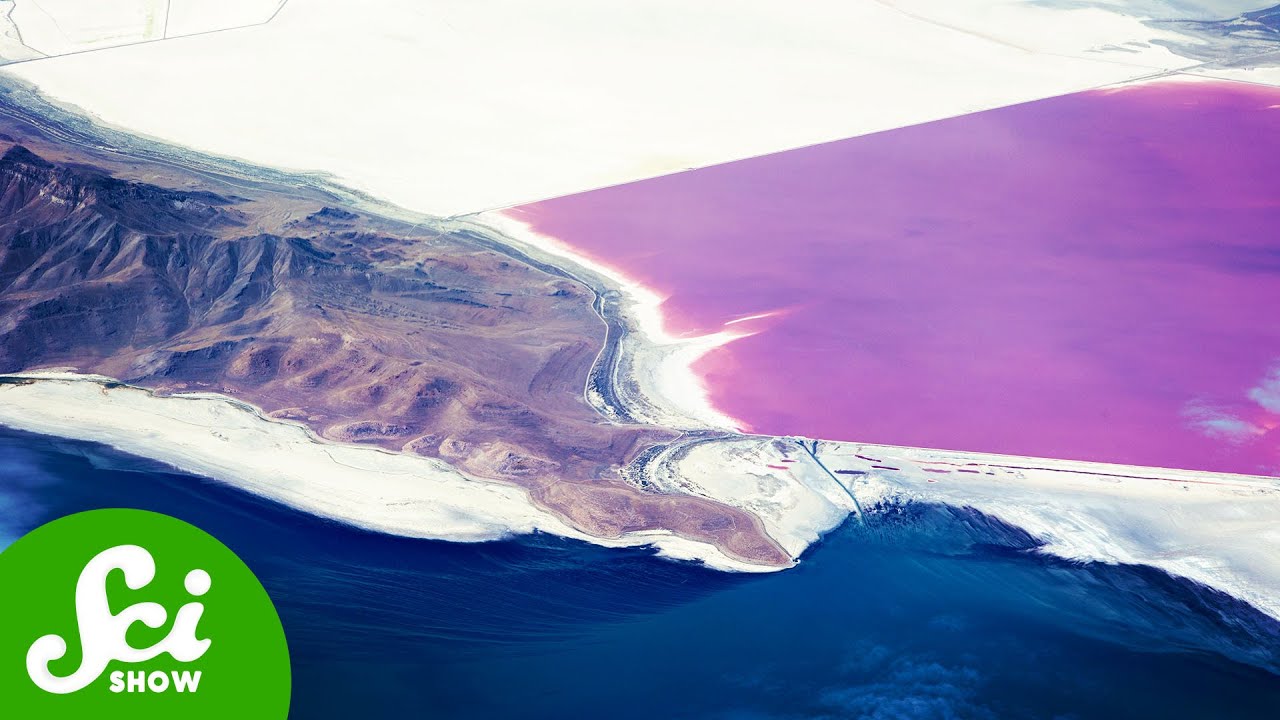 Why the Great Salt Lake is Two Completely Different Colors