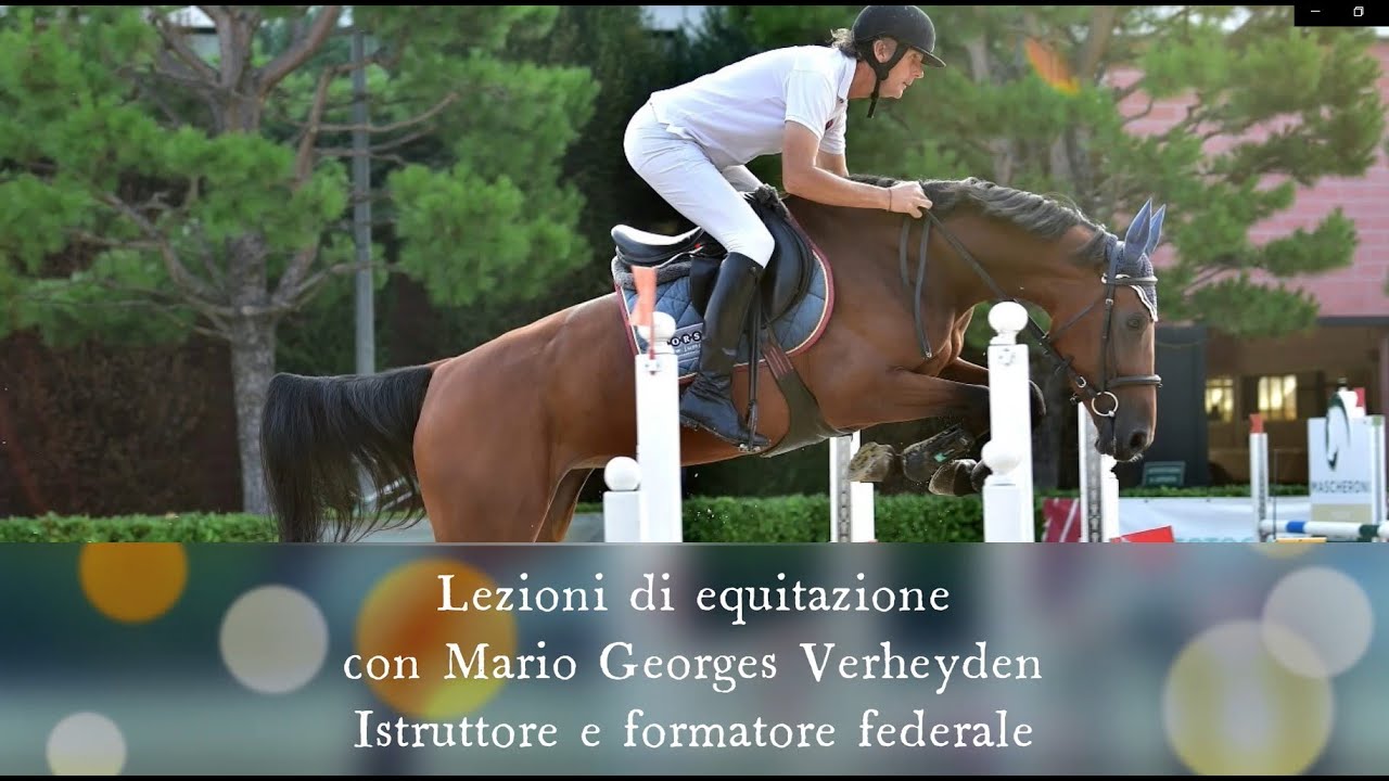 Addestramento a cavallo: i primi percorsi di salto ostacoli