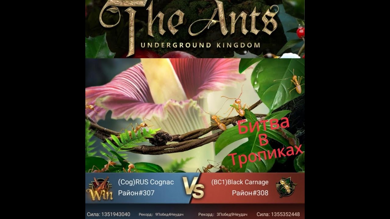 Битва в Тропиках 307vs308 Победа в игре The Ants Underground Kingdom