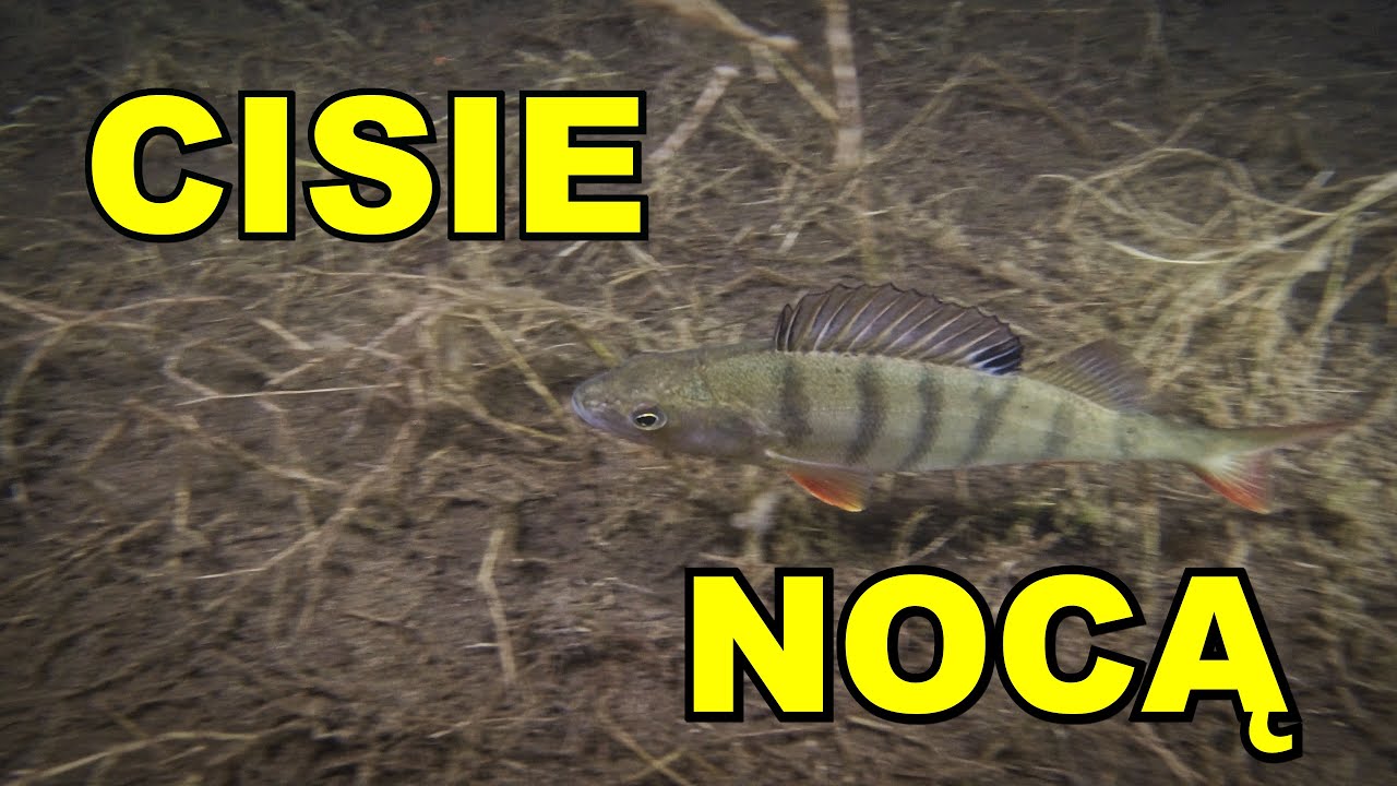 NURKOWANIE JEZIORO CISIE NOCĄ 13.05.2023
