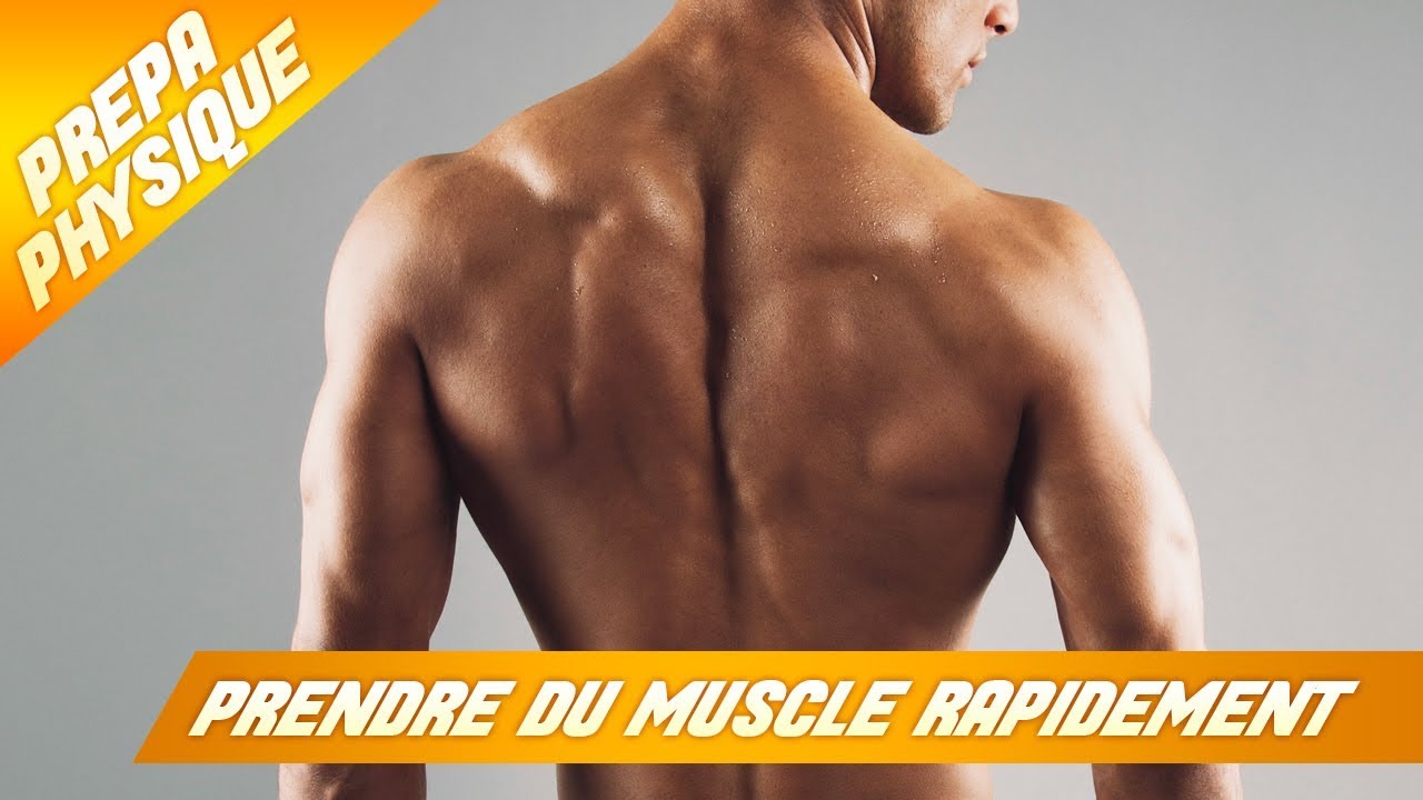 COMMENT PRENDRE DU VOLUME MUSCULAIRE RAPIDEMENT