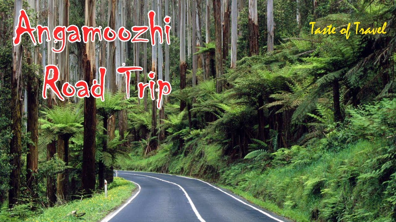 Angamoozhy Road Trip