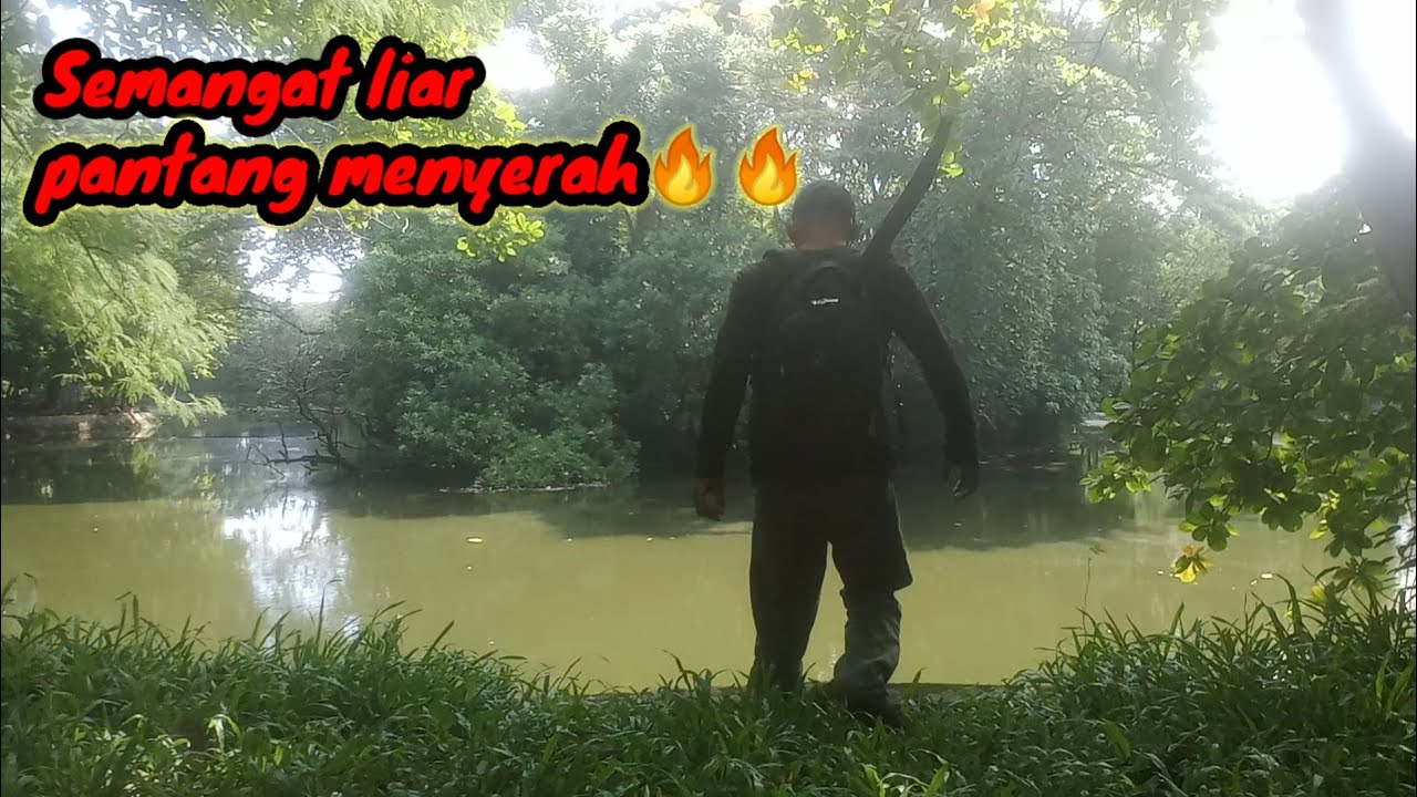 Strike ora strike hajar terus🔥‼️#mancinglele#umpanjitu#strike#mancingliar@jaddahmancing