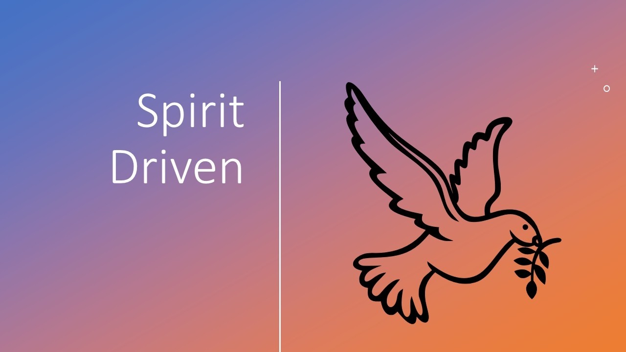 Divine Connection Church is live!
