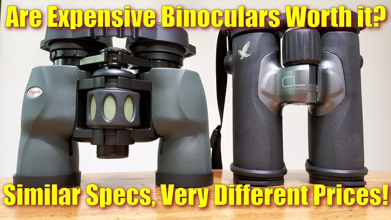 $100 Vs $1,000 Binoculars - Best Binoculars for the Money?